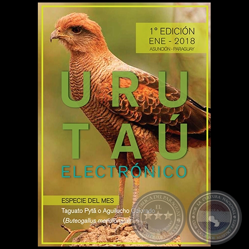 URUTAÚ ELECTRÓNICO - 1° EDICIÓN - ENERO 2018